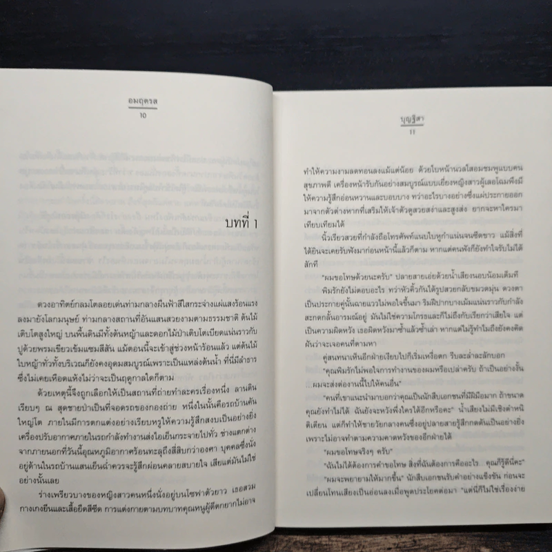 อมฤตรส - บุญฐิสา รูปที่ 8