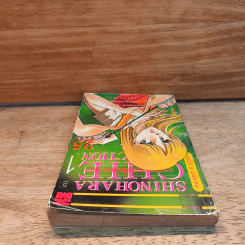 Shinohara Chie Collection เล่ม 1 รูปที่ 4