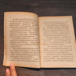 พลายจำปา - ลมุล รัตตากร รูปที่ 8