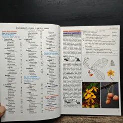 Afield Guide to Forest Trees of Northern Thailand รูปที่ 11