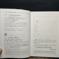 52 วิธีฝึกสมองให้จำอะไรก็ได้ง่ายๆโดยอัตโนมัติ และจำได้นาน รูปที่ 6