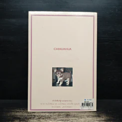 ชิวาวา Chihuahua - เหมันต์ เกียรติเมฆินทร์ รูปที่ 2