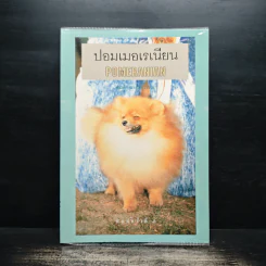 ปอมเมอเรเนี่ยน POMERANIAN รูปที่ 1