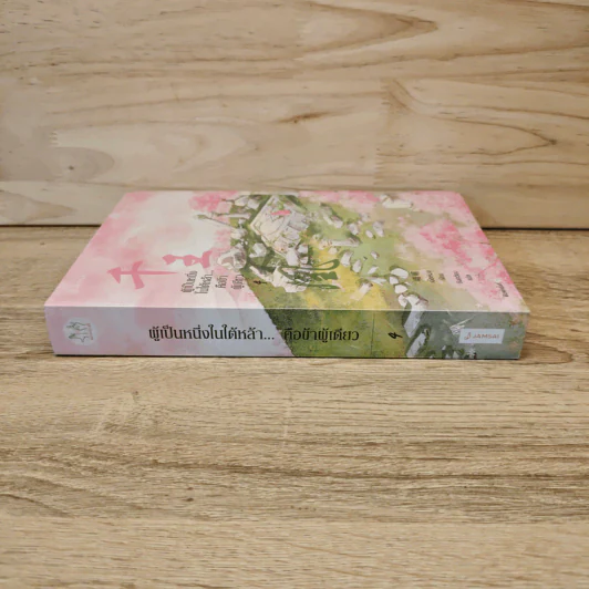 ผู้เป็นหนึ่งในใต้หล้า...คือข้าผู้เดียว เล่ม 4 - เอ๋อเหมย (峨嵋), ถังเจวียน รูปที่ 2