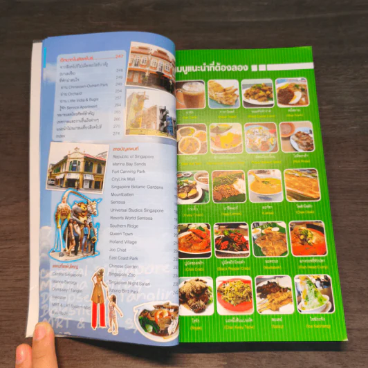 คู่มือเที่ยวตามใจชอบ สิงคโปร์ รูปที่ 8
