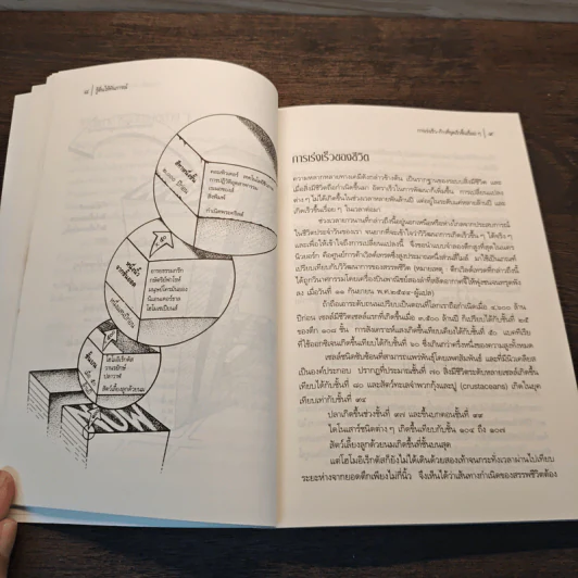 รู้ตื่นให้ทันการณ์ Walking Up in Time - Peter Russell รูปที่ 9