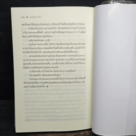 แผนลวงรัก - ศิตา รูปที่ 8