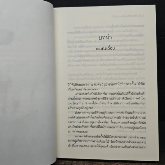 โหดหื่นหมื่นราตรี - อุมาริการ์ รูปที่ 7