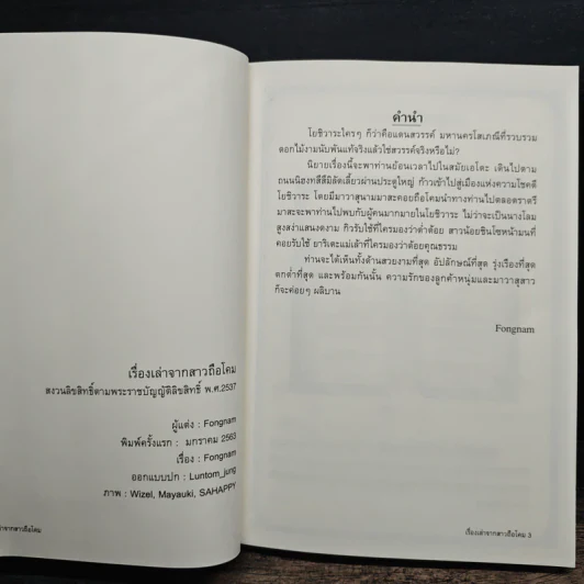 เรื่องเล่าจากสาวถือโคม - Fongnam รูปที่ 6