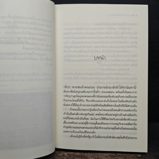 ทาสรักสลักใจ - กะรัต รูปที่ 7