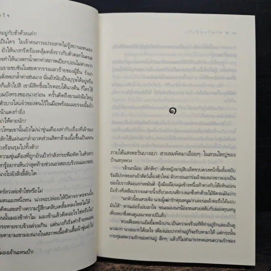 ทาสรักสลักใจ - กะรัต รูปที่ 8