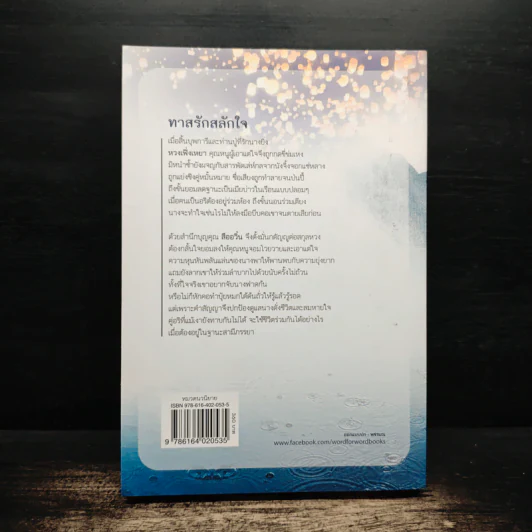 ทาสรักสลักใจ - กะรัต รูปที่ 2