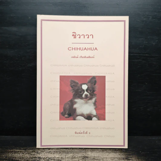 ชิวาวา Chihuahua - เหมันต์ เกียรติเมฆินทร์ รูปที่ 1