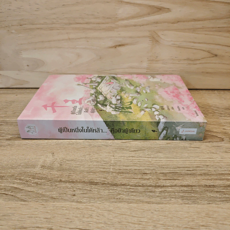 ผู้เป็นหนึ่งในใต้หล้า...คือข้าผู้เดียว เล่ม 4 - เอ๋อเหมย (峨嵋), ถังเจวียน รูปที่ 2