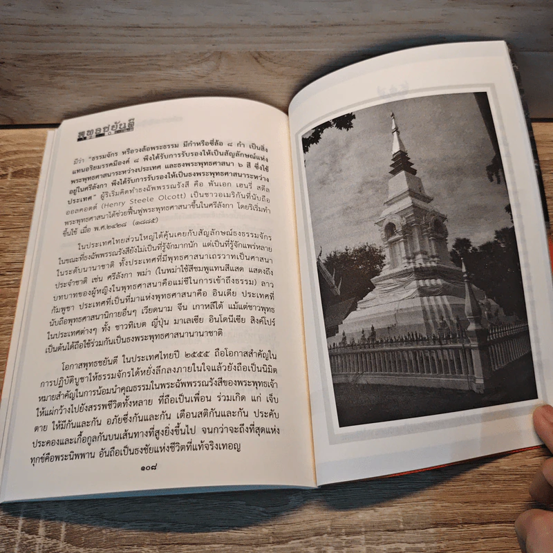 พุทธชยันตี 2600 ปี รูปที่ 8
