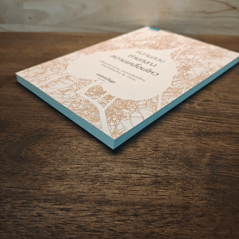 ความสงบท่ามกลางความเคลื่อนไหว - Camouflage รูปที่ 3