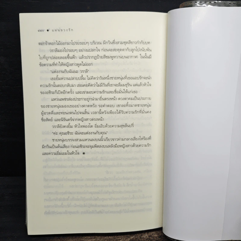 แผนลวงรัก - ศิตา รูปที่ 8