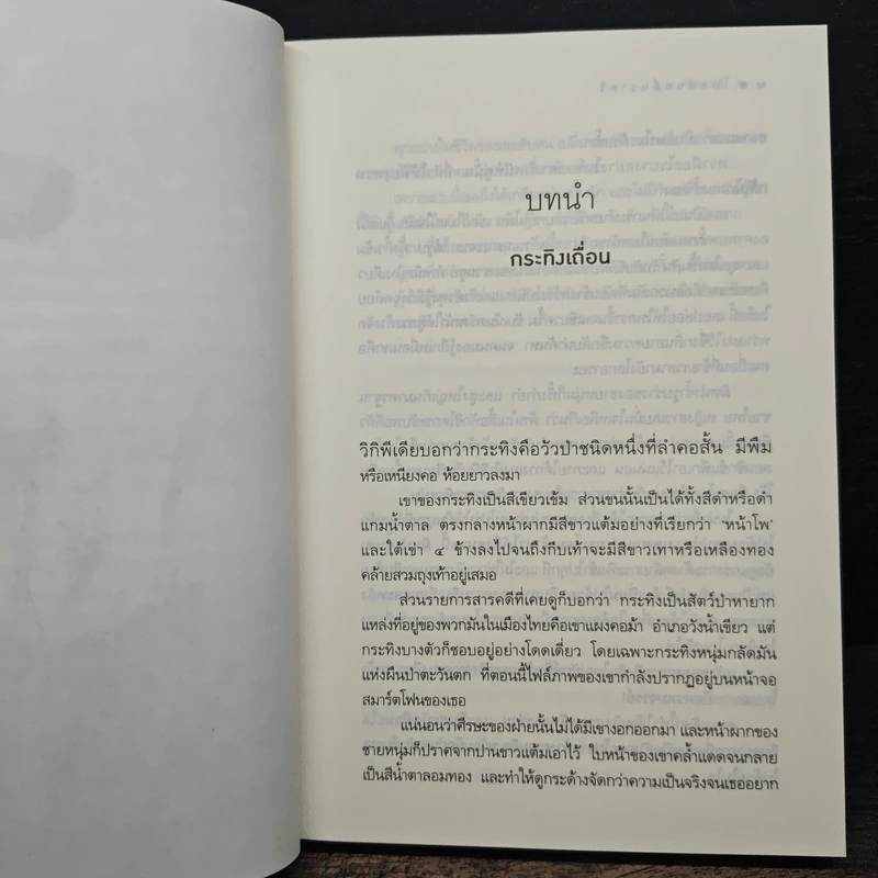 โหดหื่นหมื่นราตรี - อุมาริการ์ รูปที่ 7