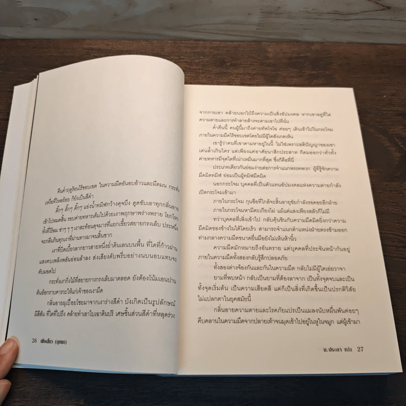 หงสาจอมราชันย์ ภาคพิเศษ เล่ม 8 - Wang Yi Xing (หวังอี๋ซิง) รูปที่ 9