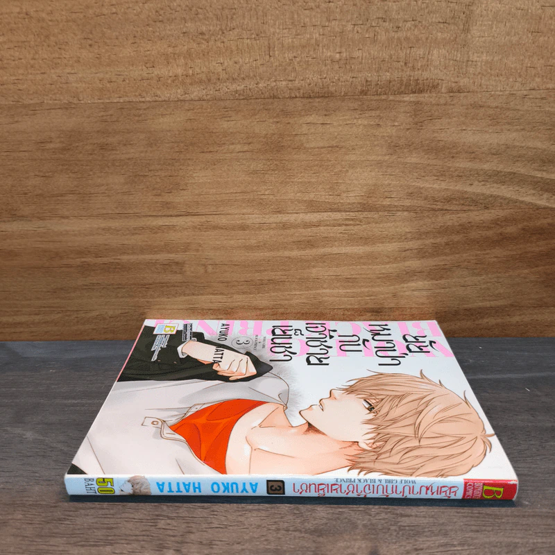 ยัยหมาป่ากับเจ้าชายเย็นชา เล่ม 3 รูปที่ 2