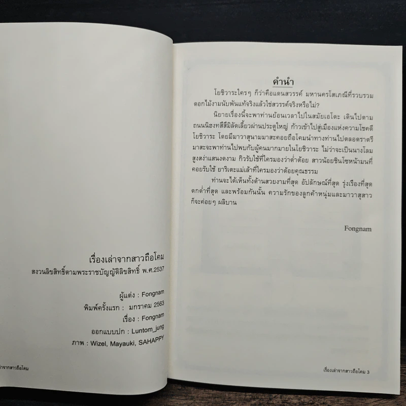 เรื่องเล่าจากสาวถือโคม - Fongnam รูปที่ 6