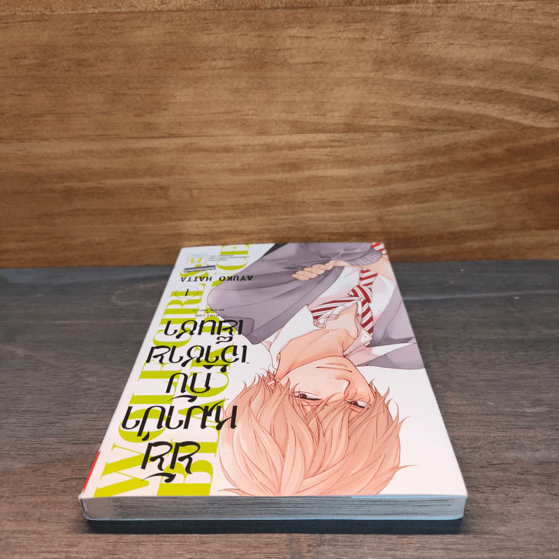 ยัยหมาป่ากับเจ้าชายเย็นชา เล่ม 1 รูปที่ 4