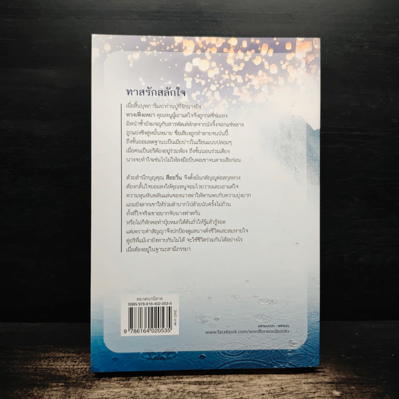 ทาสรักสลักใจ - กะรัต รูปที่ 2