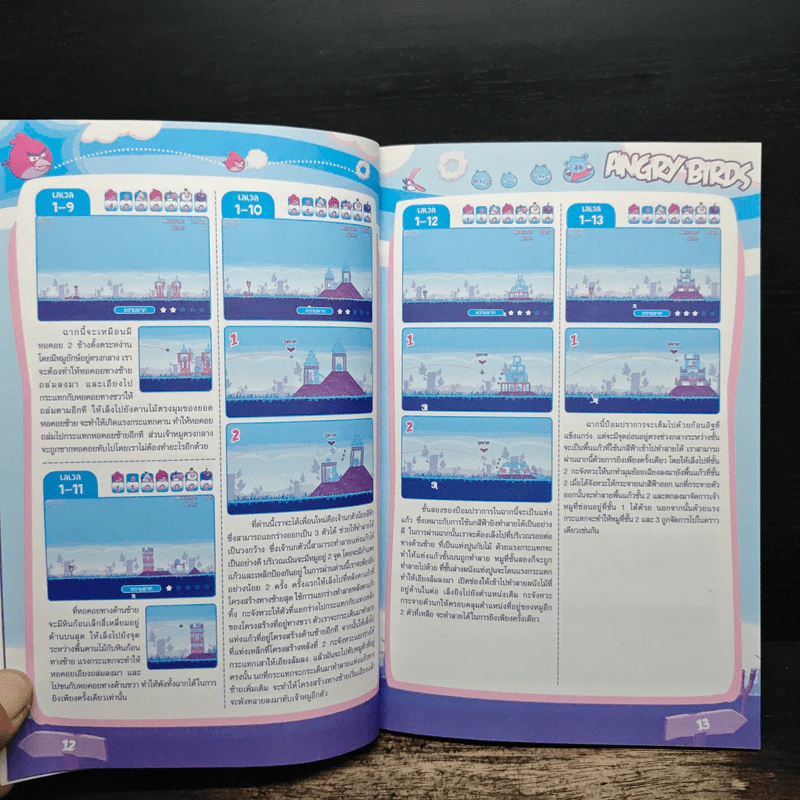 หนังสือ คู่มือเกม Angry Birds รูปที่ 9
