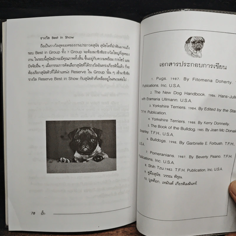ปั๊ก Pugs - รุ่งฟ้า ภัทรลังกา รูปที่ 8