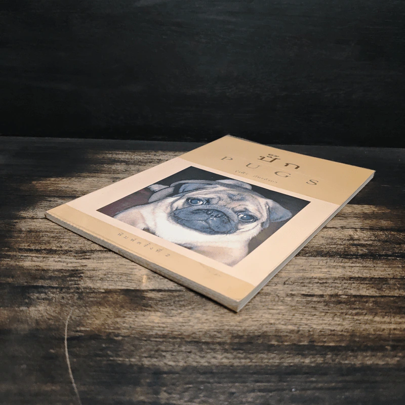 ปั๊ก Pugs - รุ่งฟ้า ภัทรลังกา รูปที่ 4