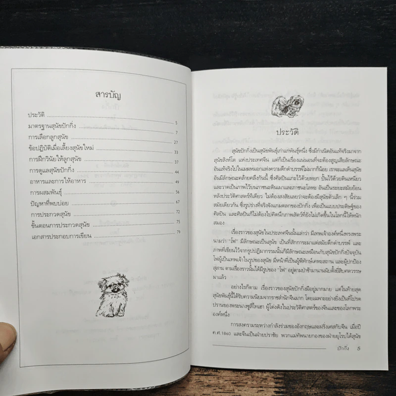 ปักกิ่ง Pekingese - เหมันต์ เกียรติเมฆินทร์ รูปที่ 7