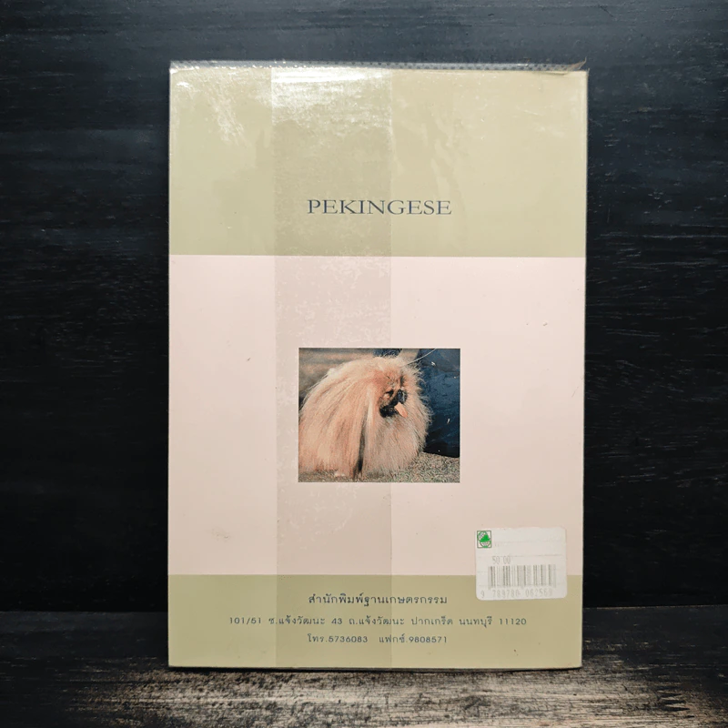 ปักกิ่ง Pekingese - เหมันต์ เกียรติเมฆินทร์ รูปที่ 2