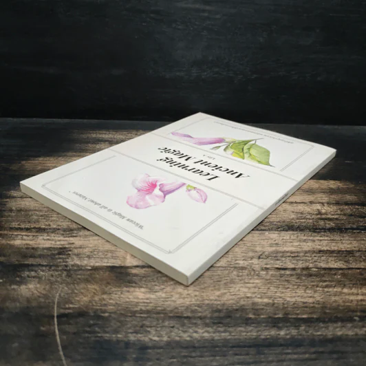 Learning Ancient Magic ตำราฝึกศาสตร์วิคคา - Lily A รูปที่ 5