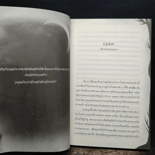 Witches' Secret ความลับของแม่มด - Pink Devil รูปที่ 8