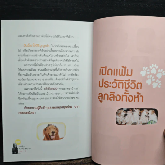 ผมชื่อคิงคองคร้าบ เล่ม 3 ซูเปอร์สตาร์สี่ขา - วัสชนะ พรหมประสิทธิ์ รูปที่ 9