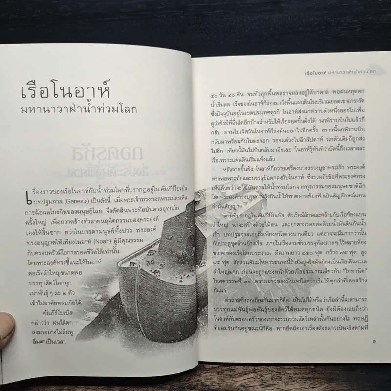 ถอดรหัสสิ่งประดิษฐ์พิศวง - ไบรอัน ฮอห์ตัน รูปที่ 8