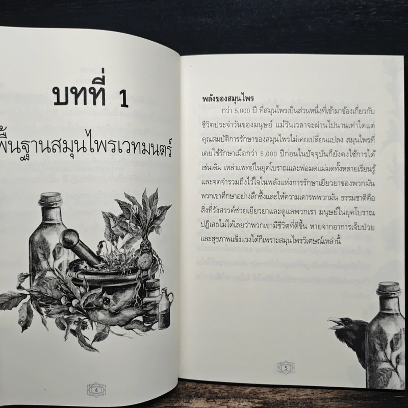 ตำราสมุนไพรแม่มด Witches Herbs - Lily A รูปที่ 7