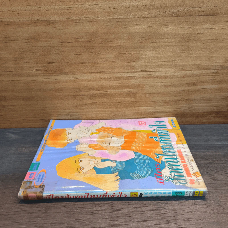 มีใคร..สักคนไหมที่เข้าใจ เล่ม 6 รูปที่ 2