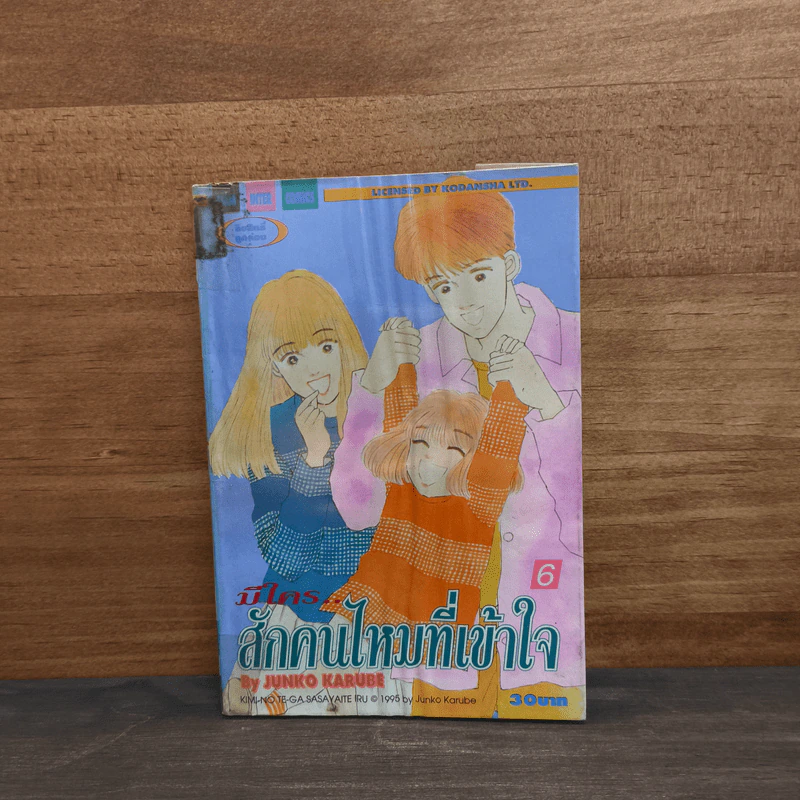 มีใคร..สักคนไหมที่เข้าใจ เล่ม 6 รูปที่ 1