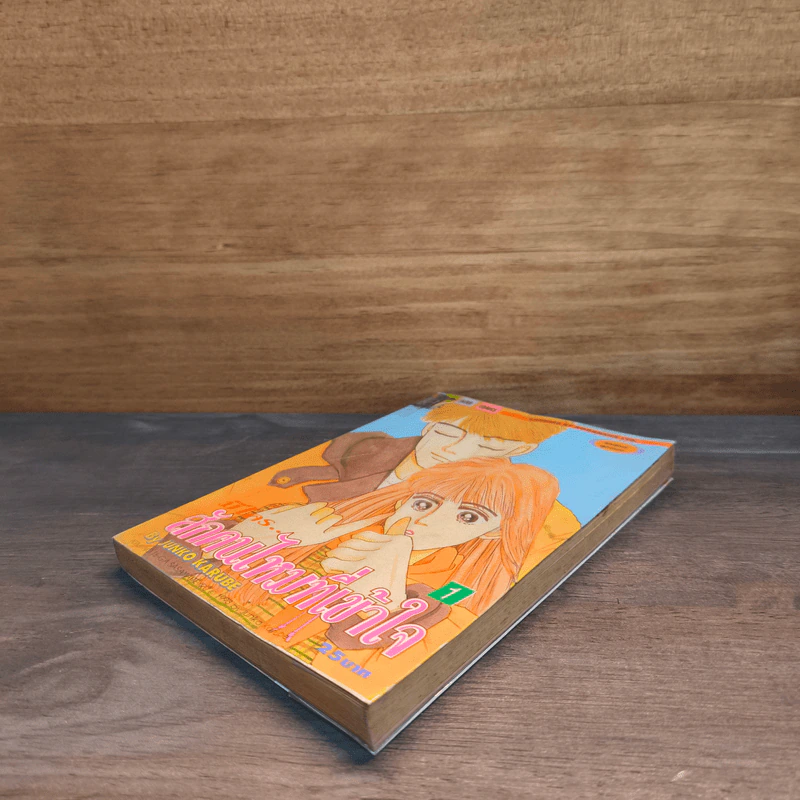 มีใครสักคนไหมที่เข้าใจ เล่ม 1 รูปที่ 3