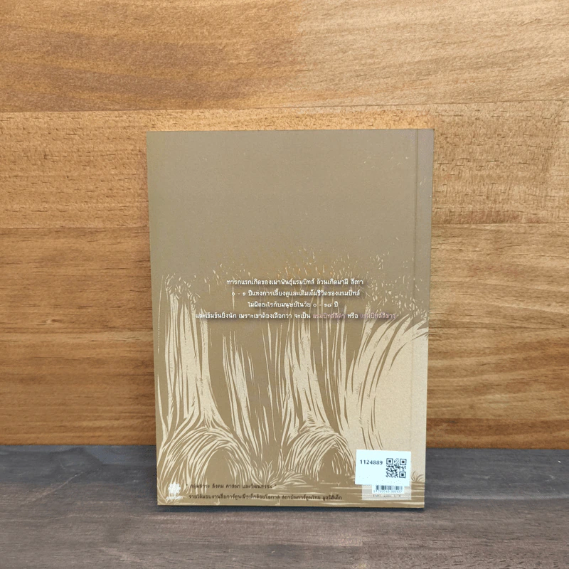 Rambits แรมบิทส์ รูปที่ 5
