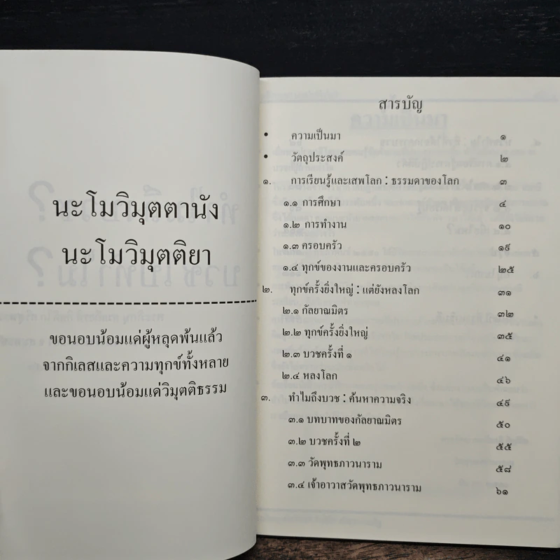 ทำไมถึงบวช บวชไปทำไม + ๓๒ปี ที่ รามาธิบดี รูปที่ 6