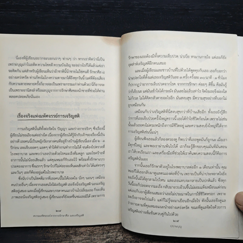 ความมหัศจรรย์จากการรักษาศีลและเจริญสติ - ปรานบุญ รูปที่ 9