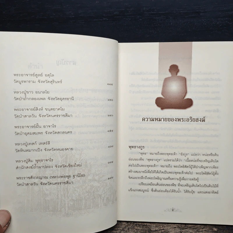 อมตะพระอริยสงฆ์ - องอาจ ราชพฤกษ์ รูปที่ 8