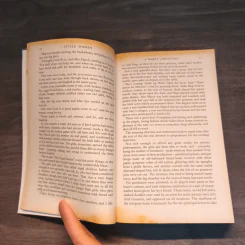 Little Women & Good Wives - Louisa May Alcott รูปที่ 8
