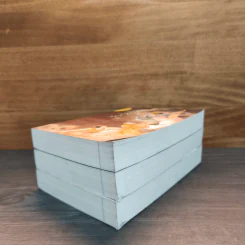 ตื่นเสียทีจะไม่มีทายาทแล้ว! 3 เล่มจบ - เทียนหรูอวี้ รูปที่ 4