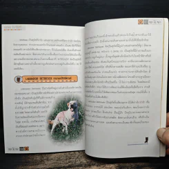 หมา (ไม่) หมา เรื่องหมาๆที่คนรักหมาต้องรู้ - ชนกพร จันทรีบูลย์ รูปที่ 8