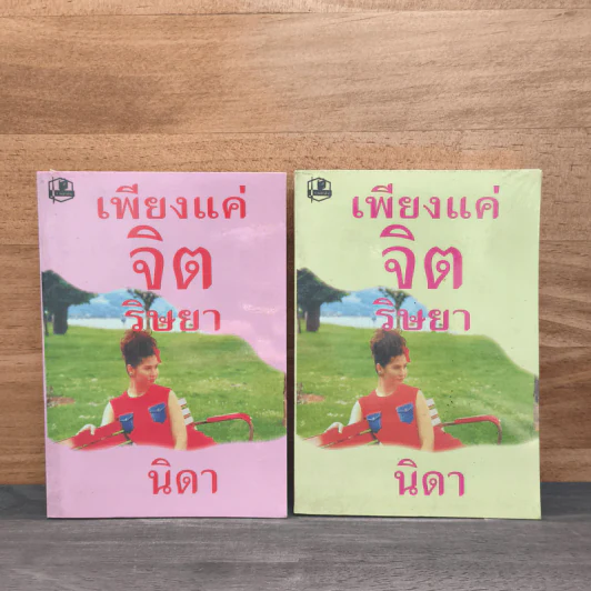 เพียงแค่จิตริษยา 2 เล่มจบ - นิดา รูปที่ 1