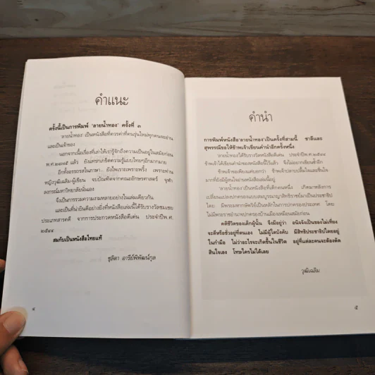 ลายน้ำทอง - วุฒิเฉลิม รูปที่ 8