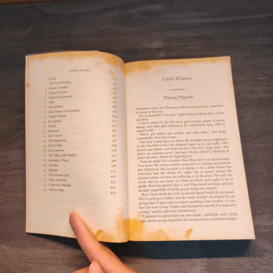 Little Women & Good Wives - Louisa May Alcott รูปที่ 7